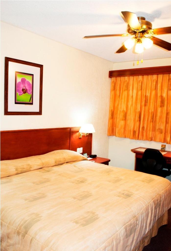 Hotel Marcella Clase Ejecutiva Morelia Buitenkant foto